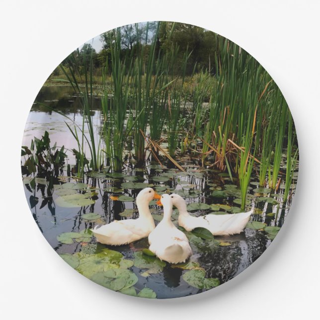 White ducks, lily pads, cattails, lake shore paper plate (Front)