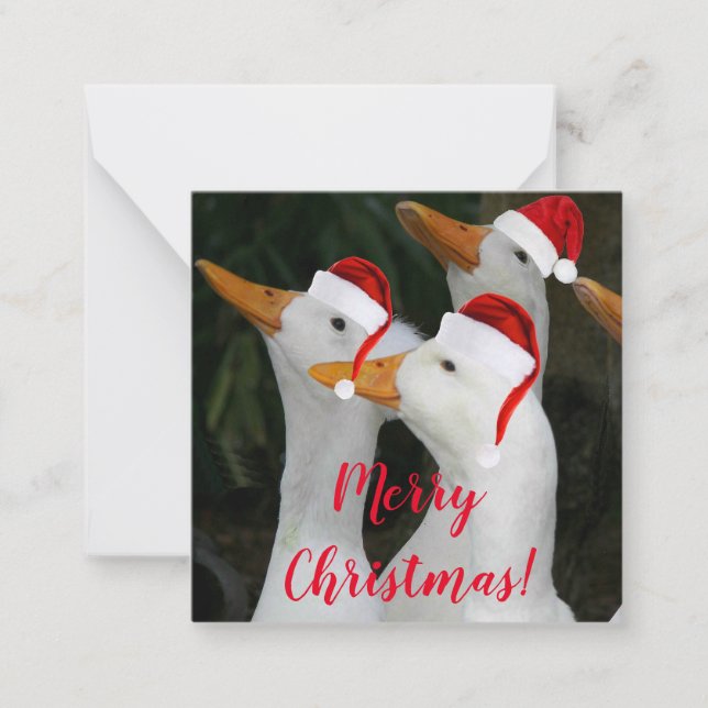 White Ducks Wearing Red Santa Hats Holiday Card (Front)
