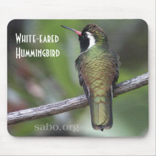 White-eared Hummingbird Mousepad