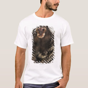 White eared Marmoset on branch, close up, studio T-Shirt