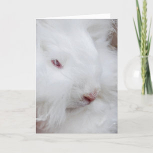 White Easter Bunny Holiday Card