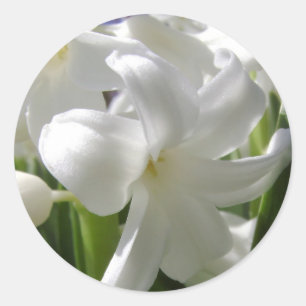 White Easter Lilly Classic Round Sticker