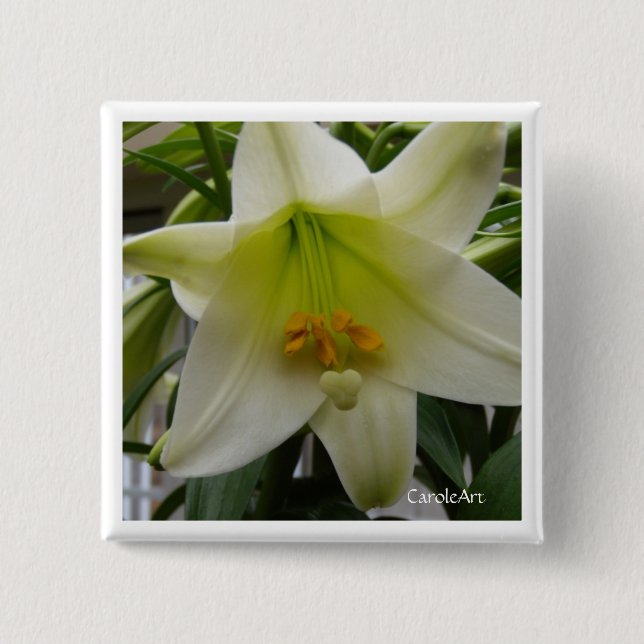 White "Easter" Lily Pin (Front)