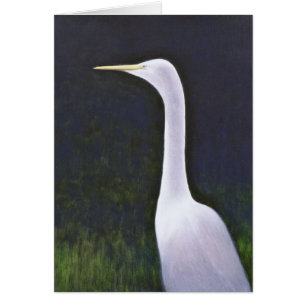 White Egret