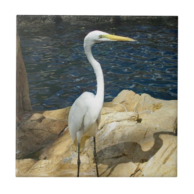 White Egret At The Beach Tile (Front)