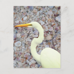 White egret holiday postcard