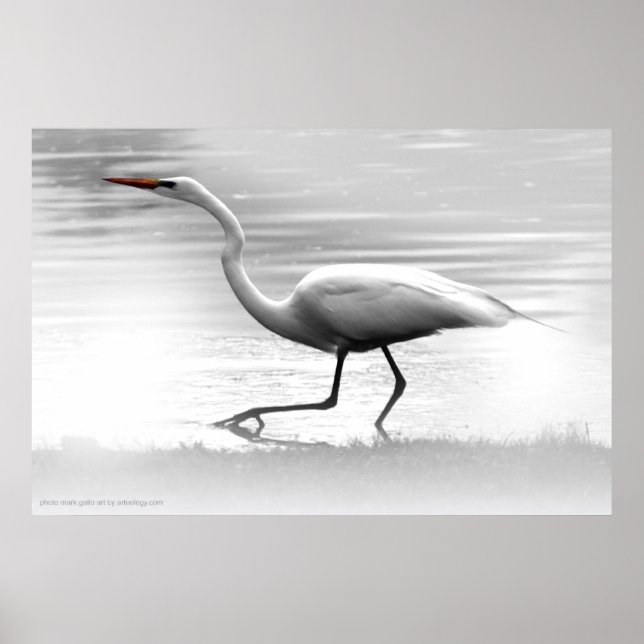 White Egret Poster (Front)