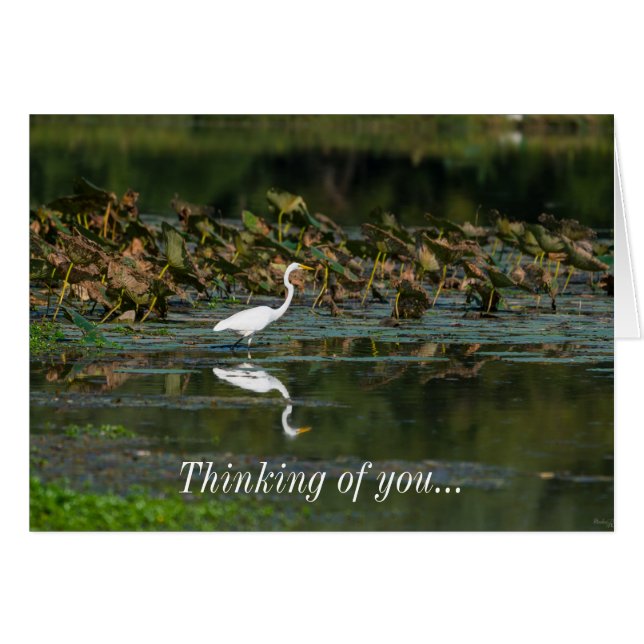 White Egret Reflection Thinking Of You Card (Front Horizontal)