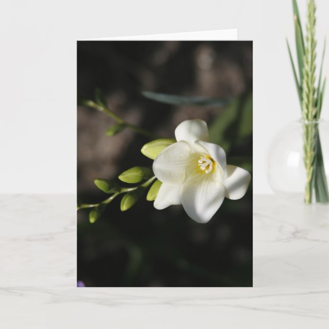 White Elegant Flower Greeting Card (Front)