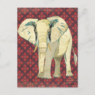 White Elephant Postcard