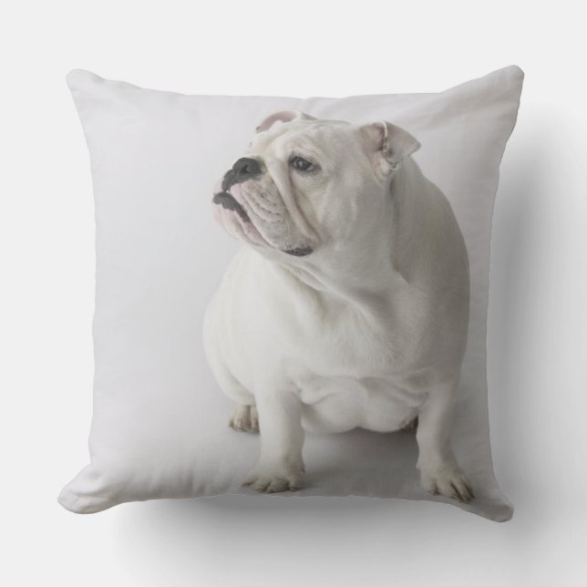 White English Bulldog Cushion (Front)
