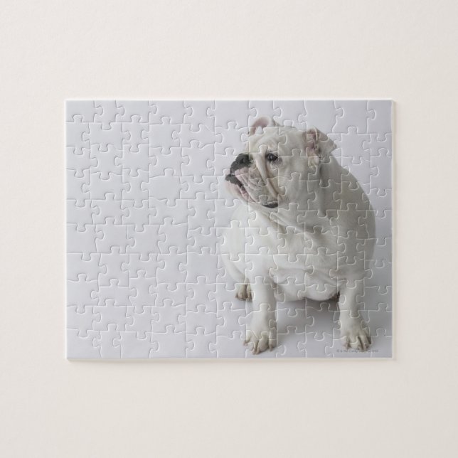 White English Bulldog Jigsaw Puzzle (Horizontal)