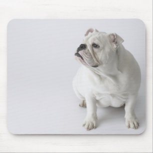 White English Bulldog Mouse Mat