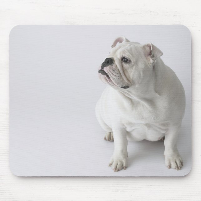 White English Bulldog Mouse Mat (Front)
