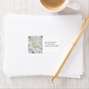 White English rose closeup Label