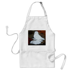 White English Trumpeter Pigeon Standard Apron