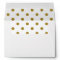 White Envelope, Gold Polkadot Lined