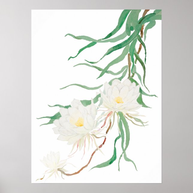 white epiphyllum flower watercolor  Poster (Front)