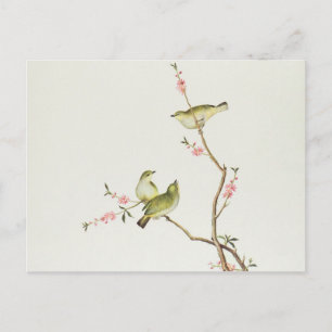 White-Eye bird, Ch'ien-lung period Postcard