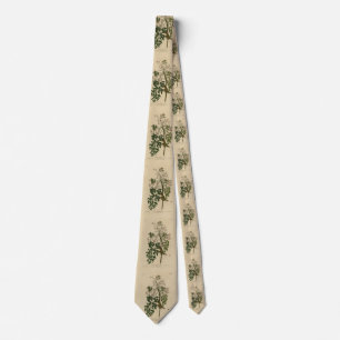 White-eyed Flycatcher - Audubon's Birds of America Tie