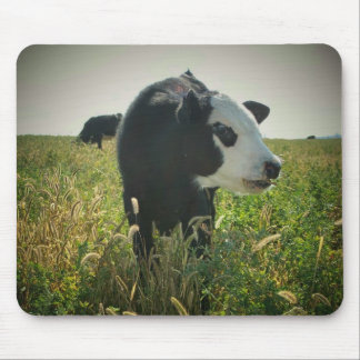 White Face in Pasture Mouse Mat