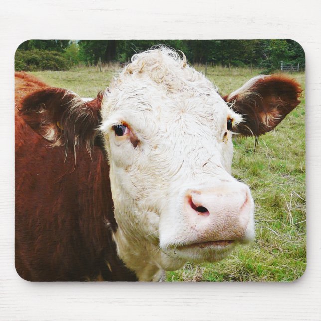 White Faced Beef Cow Mouse Mat (Front)
