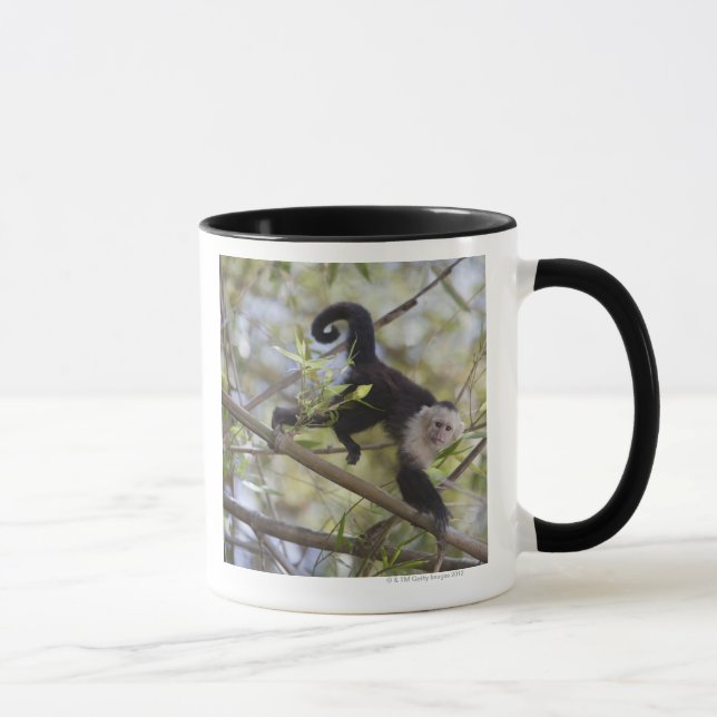 White-Faced Capuchin, Guanacaste, Costa Rica Mug (Right)