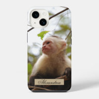 White Faced Capuchin Monkey Photography