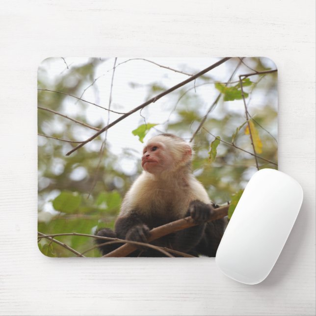 White Faced Capuchin, Wildlife Monkey Photography Mouse Mat (With Mouse)
