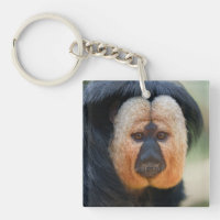 White-faced Saki