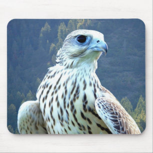 White falcon mouse mat