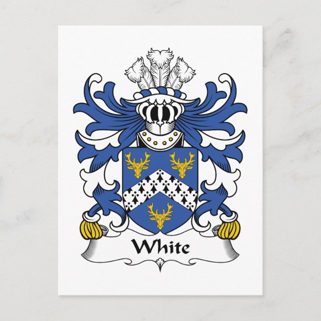 White Family Crest Postcard (Front)