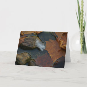 White Feather Card