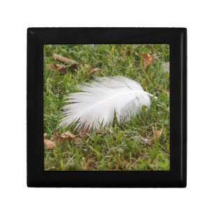 white feather on meadow gift box