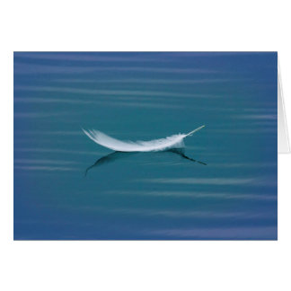 White Feather on Water