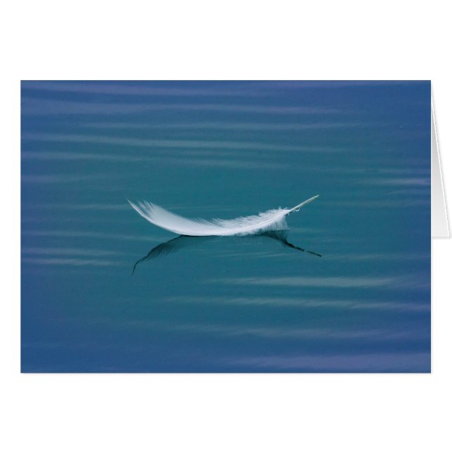 White Feather on Water (Front Horizontal)
