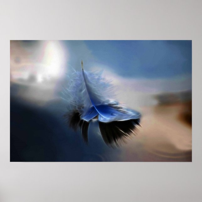 White feather sailing poster (Front)