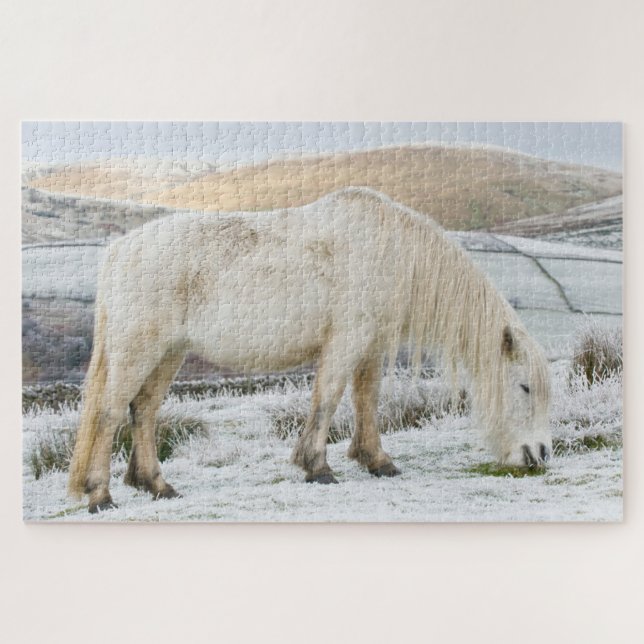White Fell Pony on Moorland in Winter Jigsaw Puzzle (Horizontal)