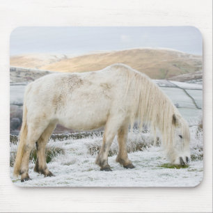 White Fell Pony on Moorland in Winter Mouse Mat