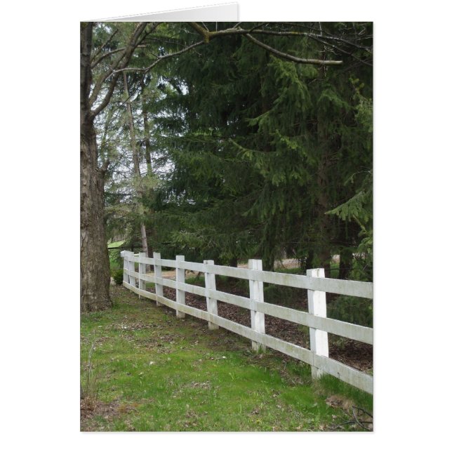 White Fence (Front)