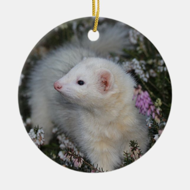 White Ferret in Flowers Ceramic Tree Decoration (Front)