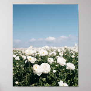 White field of flowers - poster print