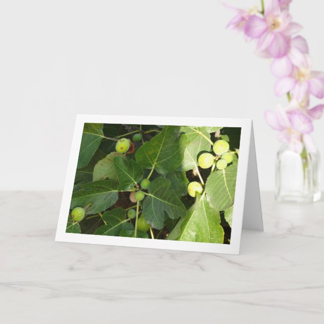 White Figs on Tree Card (Orchid)