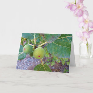 White Figs on Tree Card