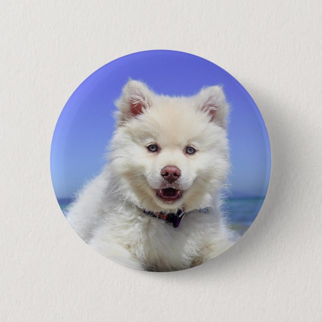 White Finnish Lapphund Puppy Cute 6 Cm Round Badge (Front)
