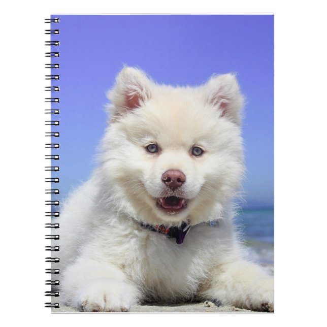 White Finnish Lapphund Puppy Cute Notebook (Front)