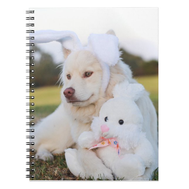 White Finnish Lapphund Puppy Cute Notebook (Front)