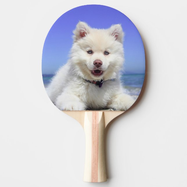 White Finnish Lapphund Puppy Cute Ping Pong Paddle (Front)