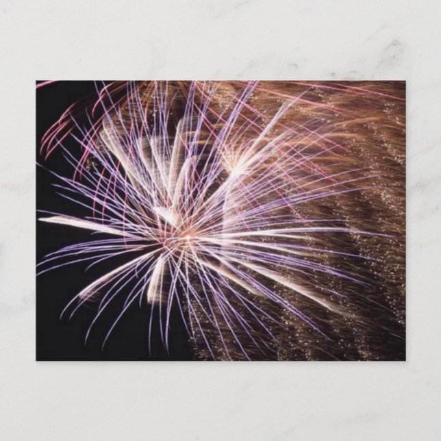 White Fireworks Postcard (Front)