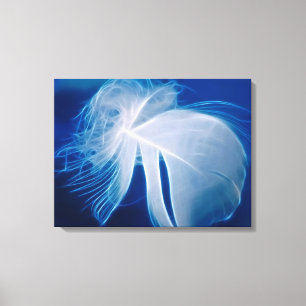 White floating feather canvas print